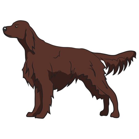 Signmission Irish Setter Dog Decal, Dog Lover Decor Vinyl Sticker D-12-Irish Setter